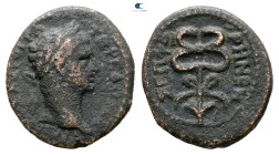 Judaea. Sepphoris (Diocaesarea). Trajan AD 98-117. 
Bronze Æ

20 mm, 5,48 g



Fine