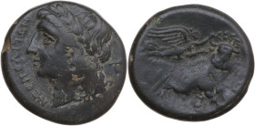 Greek Italy. Central and Southern Campania, Neapolis. AE 19 mm. c. 275-250 BC. Obv. NEOΠOΛITΩN. Laureate head of Apollo left; behind, T. Rev. Man-face...