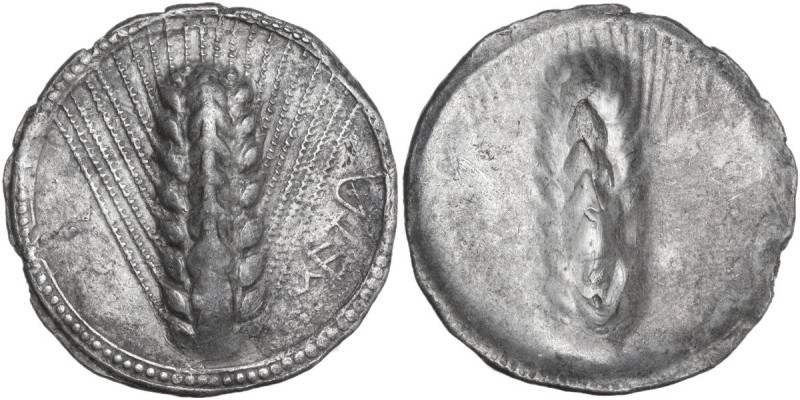 Greek Italy. Southern Lucania, Metapontum. AR Nomos, c. 540-510 BC. Obv. Barley ...