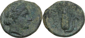 Greek Italy. Southern Lucania, Metapontum. AE 16 mm. c. 300-250 BC. Obv. Head of Demeter right, wearing barley-wreath. Rev. META. Barley-ear with leaf...