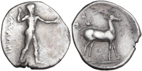 Greek Italy. Bruttium, Kaulonia. AR Stater, c. 475-425 BC. Obv. ΚΑΥΛΩΝΙ[...]. Apollo advancing right, holding branch in raised right hand. Rev. Stag s...