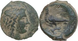 Sicily. Akragas. AE 23 mm, c. 287-282 BC. Obv. Laureate head of Zeus Hellanios right. Rev. Two eagles standing left on rock clutching hare in talons. ...