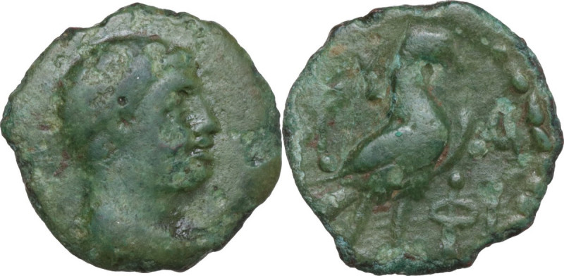 Continental Greece. Lakonia, Lakedaimon (Sparta). AE 17 mm, c. 48-35 BC. Obv. Di...