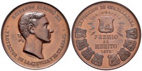 Alfonso XII. Medalla. 1876. (Avm-467). Ae. 62,13 g. Exposición de Guadalajara. Premio al mérito. Grabador L. Planiol. Diámetro 48 mm. SC-. Est...70,00...