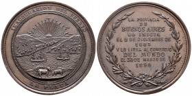 Argentina. Medalla. 1890. Ae. 92,46 g. Inauguración del Puerto de la Plata. La Provincia de BB.AA. Inicia sus obras en 1833 y las termina en 1890 abri...