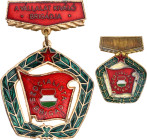 Hungary Brigade Medal 1960 -th Bronze 53x36 mm.; 16,35g.; Enameled; in original case with pin; The text on the medal reads:”The brigade of your compan...