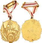 Albania Republic Order of Motherhood Glory I Class 1955 vgAE; With original ribbon; Condition-I