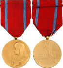 Belgium National Restoration Medal 1928 Barac# 156, Bronze 41x36 mm.; With original ribbon; in original box; original name: Medaille de la Restauratio...