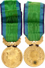 France Public Good Medal 1960 - 1980 vgAE 48x32 mm.; With original ribbon; in original box; stamped by Jampolsky; Condition-I; (KW221)