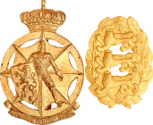 Europe Lot of 2 Cap Badges 20 - th Century vgAE; Belgium and Denmark (manufactured by Michelsen); Condition-I