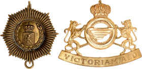 Europe Lot of 2 Cap Badges 20 - th Century vgAE; France (Military Driver) and Netherlands (restorated); Condition-I-II