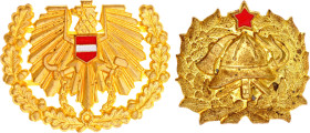 Europe Lot of 2 Cap Badges 20 - th Century vgAE; Austria and Yugoslavia (Fire Brigade); Condition-I