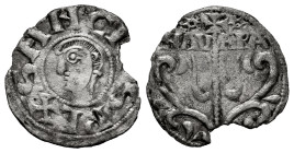 Sancho IV, of Peñalen (1054-1076). Dinero. Navarre. (Ros-3.3.1). (Cru V.S-193). Anv.: ︙SANCIVS REX. bust to left. Rev.: NAV-ARA. Tree crowned by a cro...