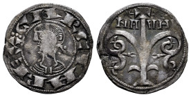 García Ramírez IV, the Restorer (1134-1150). Dinero. Navarre. (Ros-3.7.2 plate coin). Anv.: ⋮ GARCIA REX. Bust to left. Rev.: NA-VAR. Tree crowned by ...