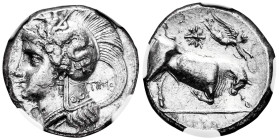 Lucania. Thurium. Stater or Nomos. 300-280 BC. (HN Italy-Unpublished). (Sng Cop-Unpublished). (Bmc-Unpublished). Anv.: Head of Athena left, wearing cr...