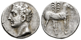 Hispanic-Carthaginian Coinage. Shekel. 220-205 BC. Cartagena (Murcia). (Abh-535). (MIB-8/64a). (Acip-603). Anv.: Male bust (Hannibal?) left. Rev.: Hor...