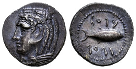 Gades-Gadir. Hemidrachm. 200-100 BC. Cadiz. (Abh-1308). (Acip-631). (C-2). Anv.: Head of Melkart left with lion skin. Rev.: Tunny right, punic legend....
