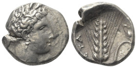 Lukanien. Metapont.

 Nomos (Silber). Ca. 340 - 330 v. Chr.
Vs: Kopf der Demeter mit Ährenkranz rechts.
Rs: Getreideähre, Oinochoe auf rechtem Bla...
