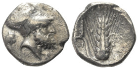 Lukanien. Metapont.

 Nomos (Silber). Ca. 340 - 330 v. Chr.
Vs: Kopf des Leukippos mit korinthischem Helm rechts, dahinter Löwenkopf rechts.
Rs: G...