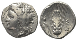 Lukanien. Metapont.

 Nomos (Silber). Ca. 330 - 290 v. Chr.
Vs: Kopf der Demeter mit Ährenkranz links.
Rs: Getreideähre, Amphora auf linkem Blatt,...