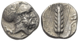 Lukanien. Metapont.

 Nomos (Silber). Ca. 330 - 290 v. Chr.
Vs: Kopf des Leukippos mit korinthischem Helm rechts, dahinter Hund nach links sitzend....