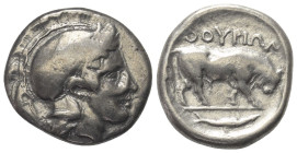 Lukanien. Thourioi.

 Nomos (Silber). Ca. 443 - 400 v. Chr.
Vs: Kopf der Athena mit attischem Helm mit Lorbeerkranz rechts.
Rs: Stier mit gesenkte...