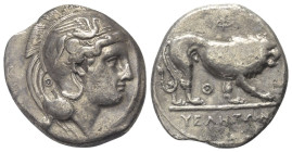 Lukanien. Velia.

 Stater oder Didrachme (Silber). Ca. 340 - 334 v. Chr.
Vs: Kopf der Athena mit attischem Helm mit Greif verziert rechts, hinter N...