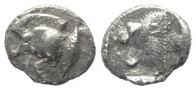 Mysien. Kyzikos.

 Diobol (Silber). Ca. 525 - 475 v. Chr.
Vs: Vorderteil eines Ebers links, dahinter Thunfisch nach oben.
Rs: Löwenkopf links in Q...