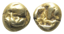 Mysien. Kyzikos (?).

1/12 Stater bzw. Hemihekte (Elektron). Ca. 600 - 550 v. Chr.
Vs: Thunfischkopf links, darunter Thunfisch rechts.
Rs: Unregel...