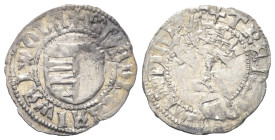 Walachei - Fürstentum. Vladislav I. (1364 - 1377).

 Dinar (Silber).
Typ III.

Vs: + M(oneta) LADIZLAI WAIWODE. Gespaltenes Wappenschild.
Rs: TR...