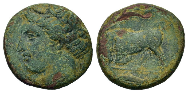 Sicily, Syracuse. Hieron II (275-215 BC). Æ (18,6mm, 4.6g). Head of Persephone l...