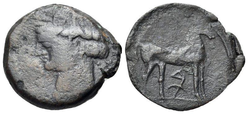 Zeugitania, Carthage, c. 264-241 BC. Sardinian mint. Æ (24mm, 8.68g, 6h). Wreath...