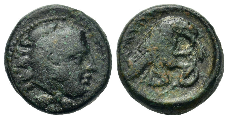 Kings of Macedon. Amyntas III (394/3-370/69 BC). Æ Tetrachalkon (15,66mm, 5g). A...