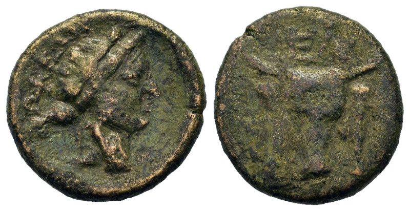 Phokis, Elateia, c. 3rd century BC and later. Æ (17,2mm, 3.8g). Head of bull fac...