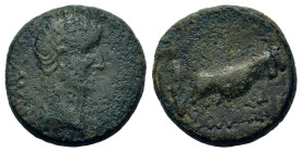 Augustus (27 BC-AD 14). Macedon, Philippi. Æ (17mm, 4.5g). Bare head of Augustus r. R/ Two founders driving yoke of oxen right, plowing pomerium. RPC ...