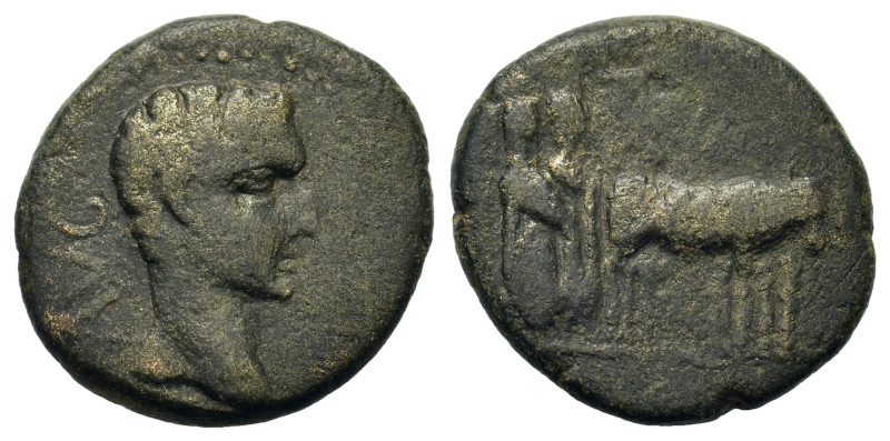 Tiberius (14-37). Macedon, Philippi. Æ (16,2mm, 3.4g). Bare head of Augustus rig...