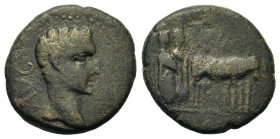 Tiberius (14-37). Macedon, Philippi. Æ (16,2mm, 3.4g). Bare head of Augustus right. R/ Two veiled priests plowing right, with yoke of two oxen. RPC I ...