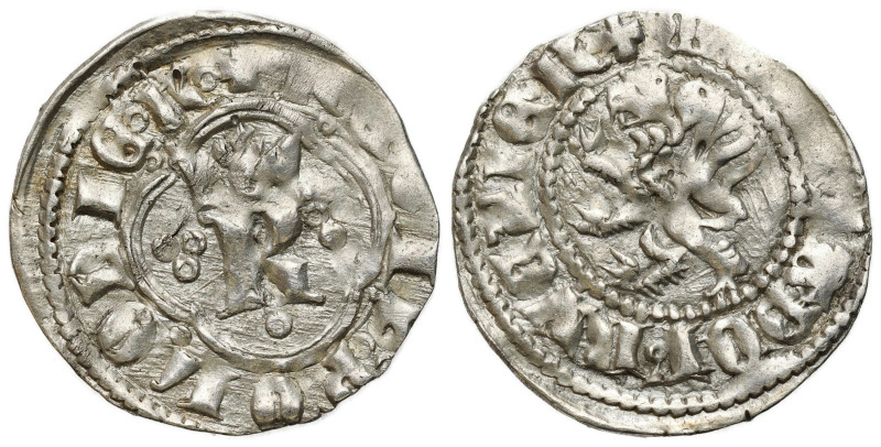 Medieval coins
POLSKA / POLAND / POLEN / POLOGNE / POLSKO

Kazimierz III Wiel...