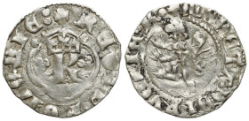 Medieval coins
POLSKA / POLAND / POLEN / POLOGNE / POLSKO

Kazimierz III Wielki (1333-1370). Kwartnik ruski 
AW: Ukoronowana litera K w rozecie, n...