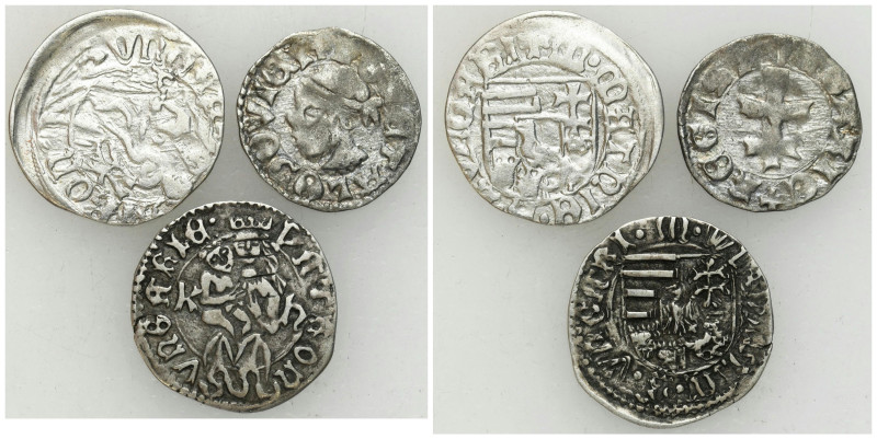 Medieval coins
POLSKA / POLAND / POLEN / POLOGNE / POLSKO

Polska/Węgry. Dena...