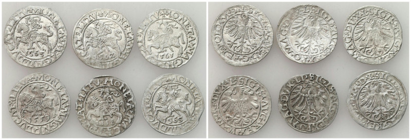 Sigismund II August
POLSKA / POLAND / POLEN / POLOGNE / POLSKO / LITHUANIA / VI...