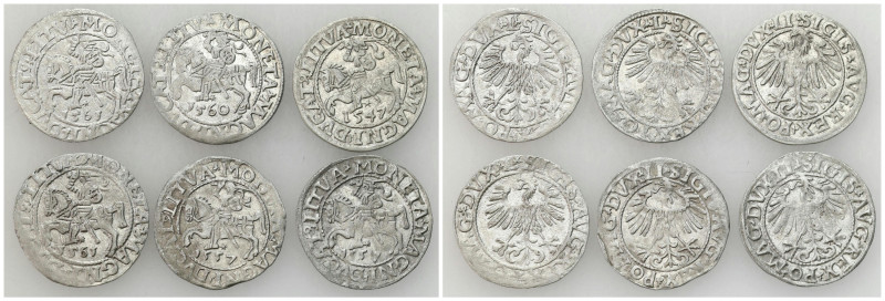 Sigismund II August
POLSKA / POLAND / POLEN / POLOGNE / POLSKO / LITHUANIA / VI...