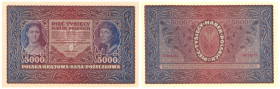 Polish banknotes 1916 - 1948
POLSKA / POLAND / POLEN / POLOGNE / POLSKO

5.000 marek polskich 1920 seria II-AJ 

Zagniecenia na marginesach, przy...