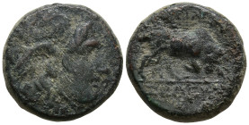 SELEUKID KINGDOM. Seleukos I Nikator (312-281 BC). Antioch.
AE Bronze (14.6mm 2.84g)
Obv: Winged head of Medusa right.
Rev: BAΣIΛEΩΣ ΣEΛEYKOY. Bull...