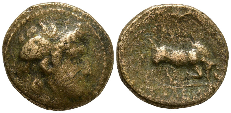 SELEUKID KINGDOM. Seleukos I Nikator (312-281 BC)
AE Bronze (14mm 2.48g)
Obv: ...