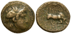 SELEUKID KINGDOM. Seleukos I Nikator (312-281 BC)
AE Bronze (14mm 2.48g)
Obv: Winged head of Medusa right.
Rev: BAΣIΛEΩΣ ΣEΛEYKOY. Bull butting rig...