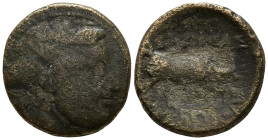 SELEUKID KINGDOM. Seleukos I Nikator (312-281 BC). Antioch.
AE Bronze (14.2mm 2.38g)
Obv: Winged head of Medusa right.
Rev: BAΣIΛEΩΣ ΣEΛEYKOY. Bull...