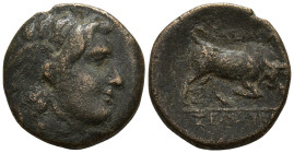 SELEUKID KINGDOM. Seleukos I Nikator (312-281 BC). Antioch.
AE Bronze (14.2mm 2.1g)
Obv: Winged head of Medusa right.
Rev: BAΣIΛEΩΣ ΣEΛEYKOY. Bull ...