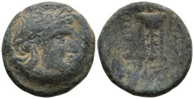 SELEUKID KINGDOM. Antiochos II Theos (261-246 BC). Sardes
AE Bronze (17.4mm 4.62g)
Obv: Laureate head of Apollo right.
Rev: BAΣΙΛΕΩΣ / ANTIOXOY. Tr...