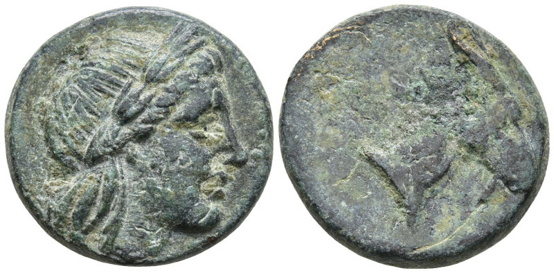 AEOLIS. Aigai. (Circa 3rd century BC).
AE Bronze (17.1m 4.19g)
Obv: Laureate h...